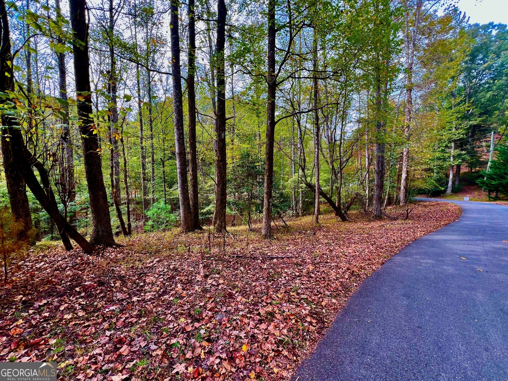 574 S Satsuma Court Ellijay GA 30540