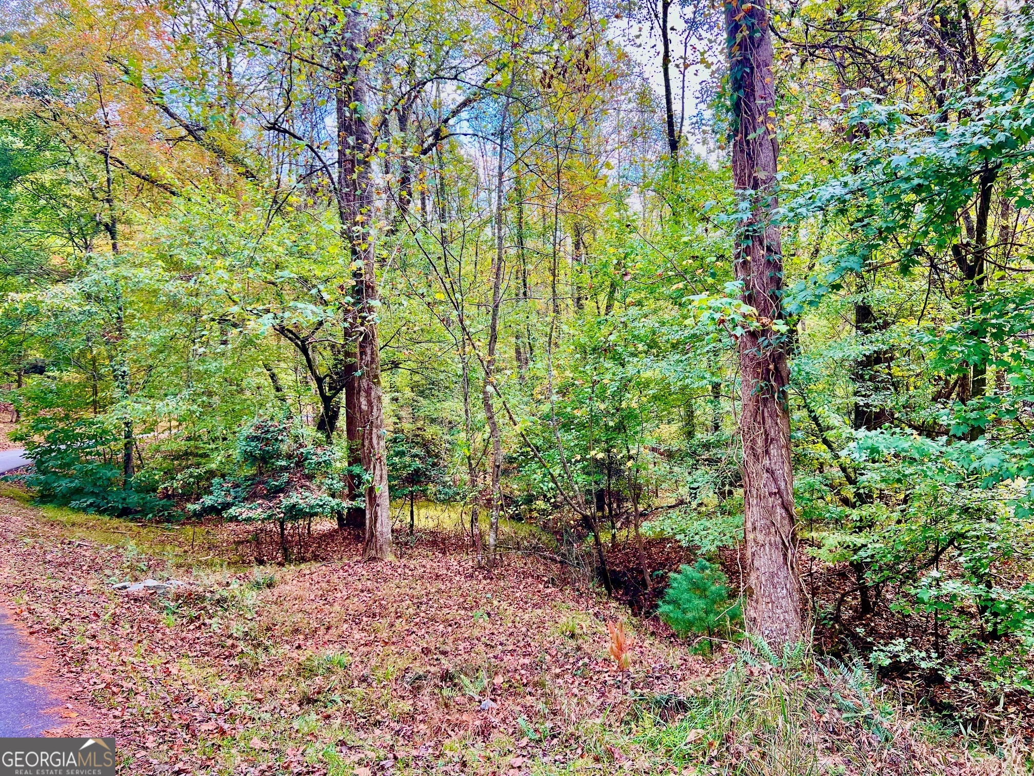 574 S Satsuma Court Ellijay GA 30540
