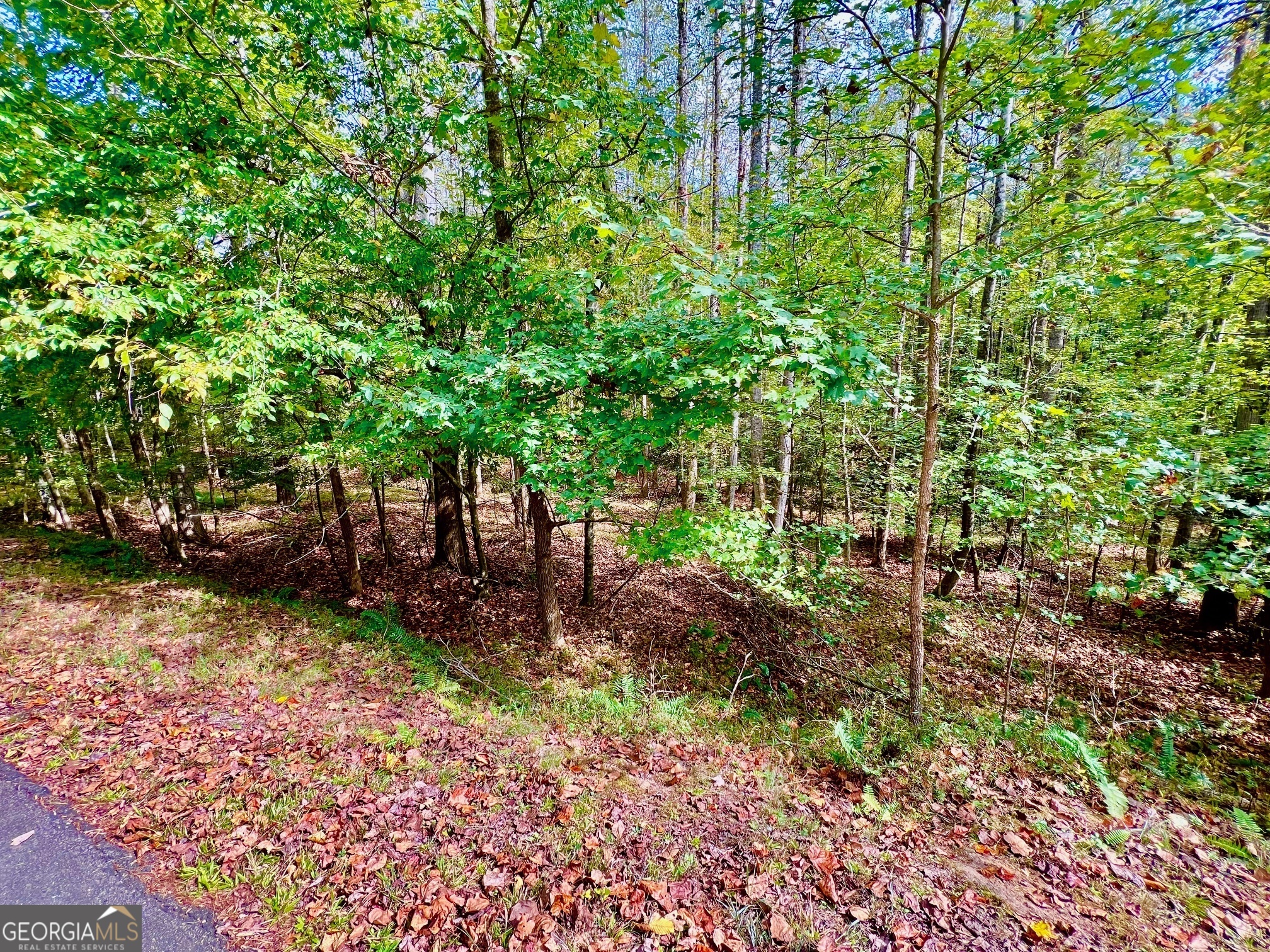 574 S Satsuma Court Ellijay GA 30540