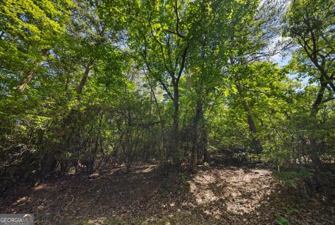 196 Cinnamon Fern Lane Jasper GA 30143