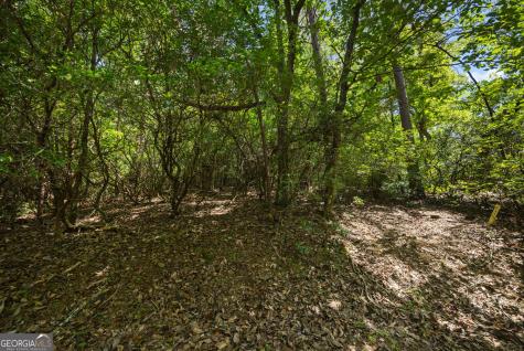 196 Cinnamon Fern Lane Jasper GA 30143