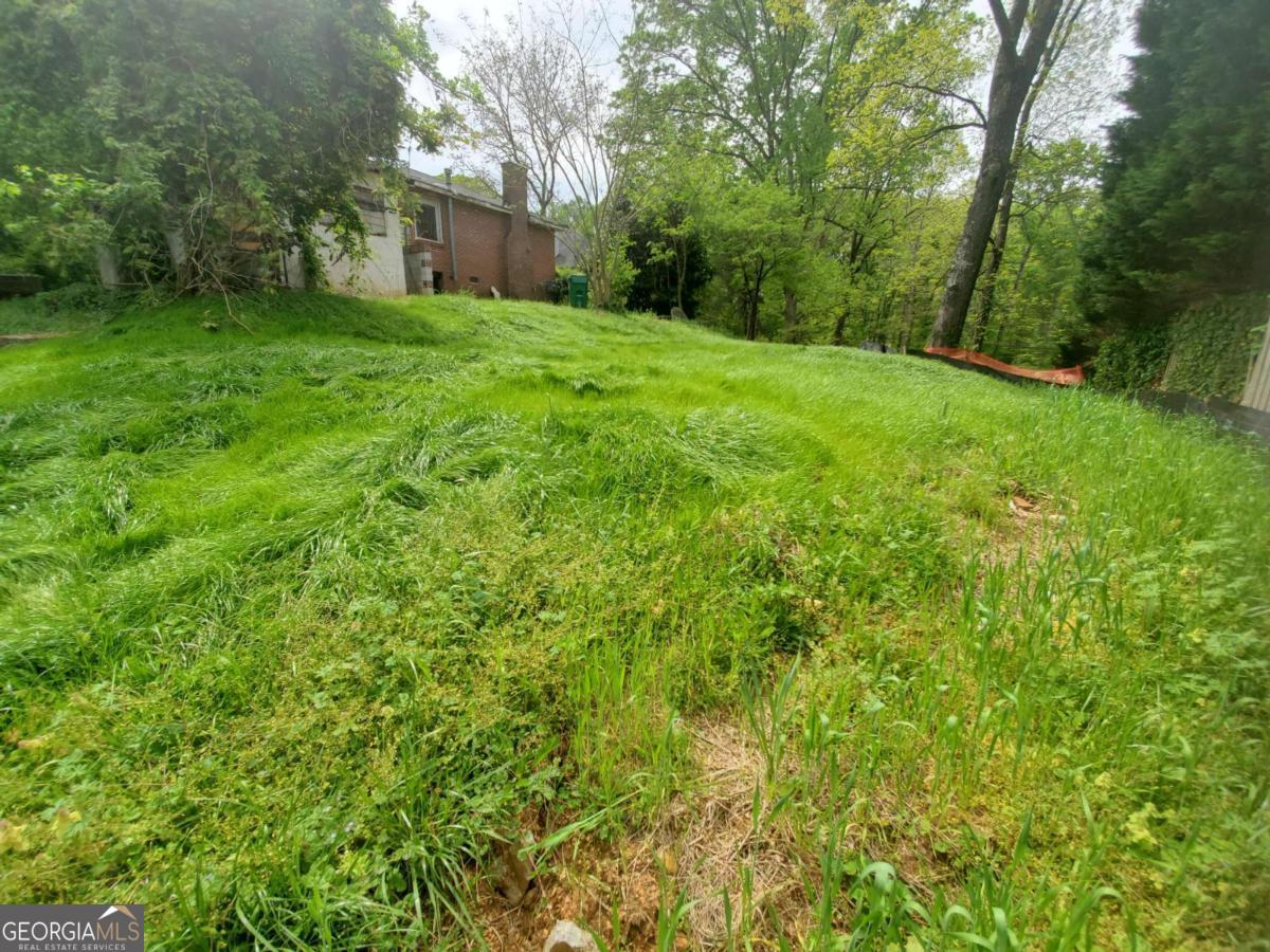 1206 Windsor Parkway NE Brookhaven GA 30319