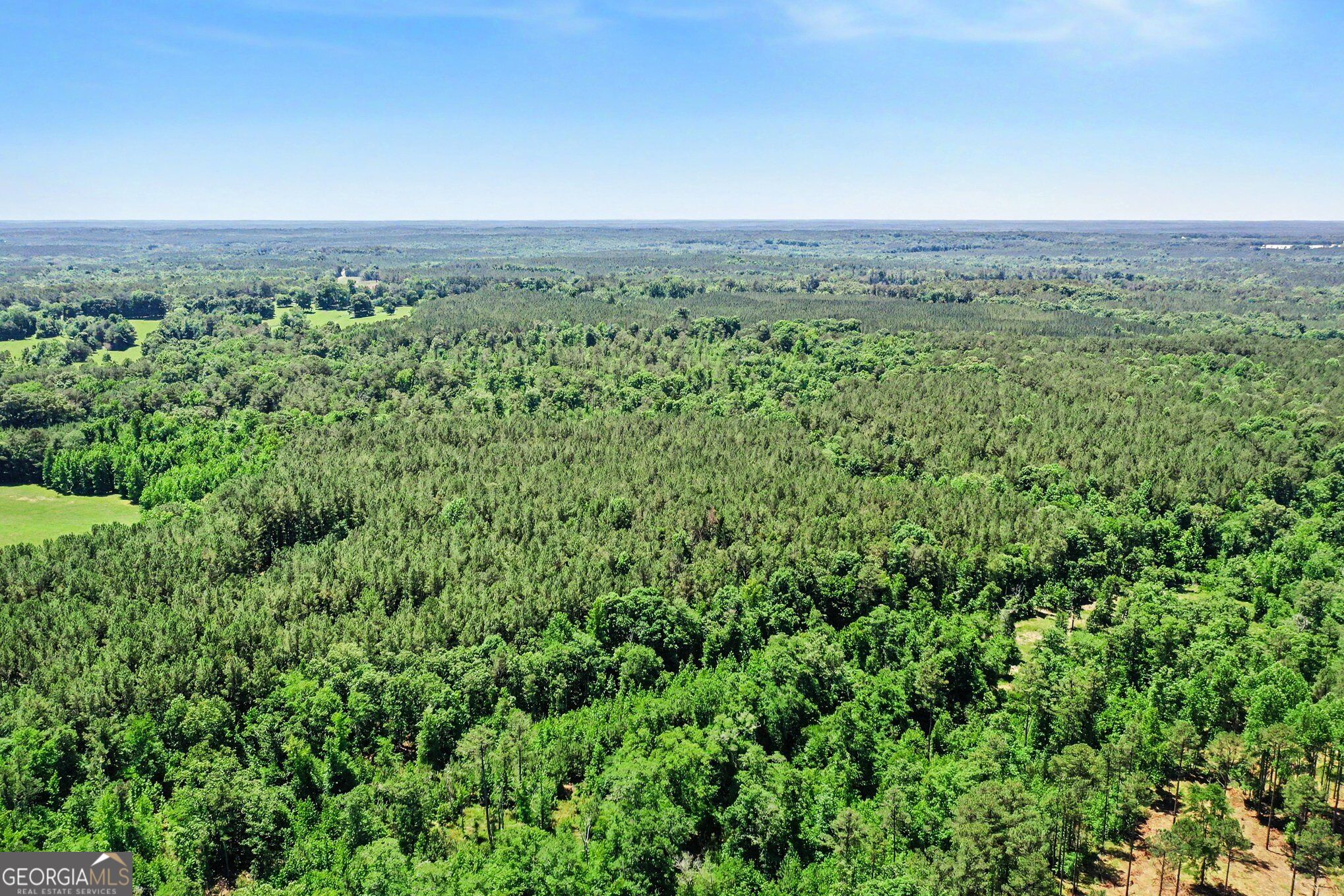 0 Courtground Road Washington GA 30673