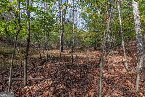 Lot 27 The Hills At Queens Gap Blairsville GA 30512