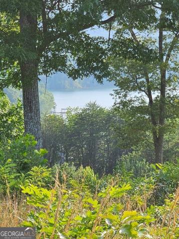 0 Big Sky Drive Hiawassee GA 30546