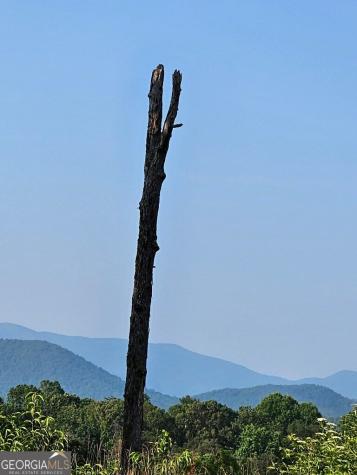 0 Big Sky Drive Hiawassee GA 30546