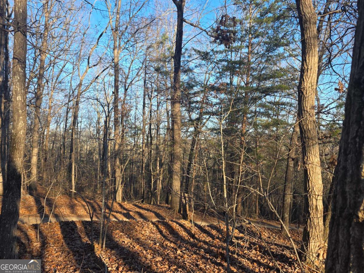 0 Carters Lake Overlook Ellijay GA 30540