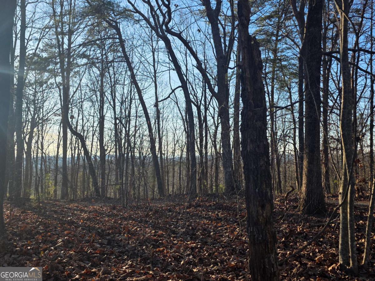 0 Carters Lake Overlook Ellijay GA 30540