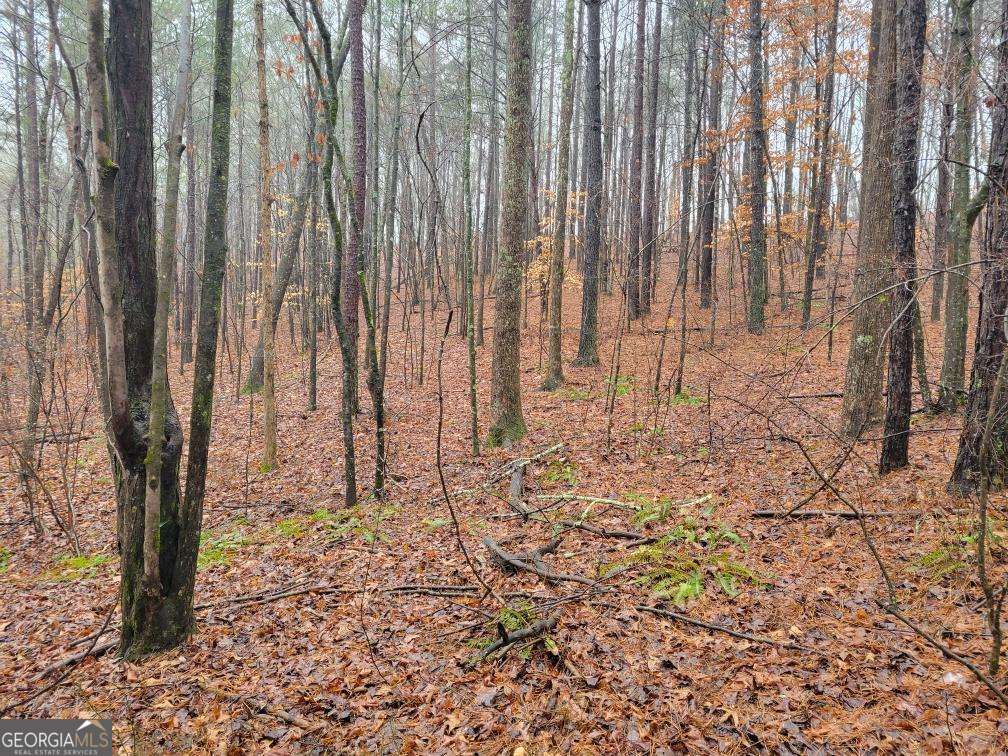 0 Carters Lake Overlook Ellijay GA 30540