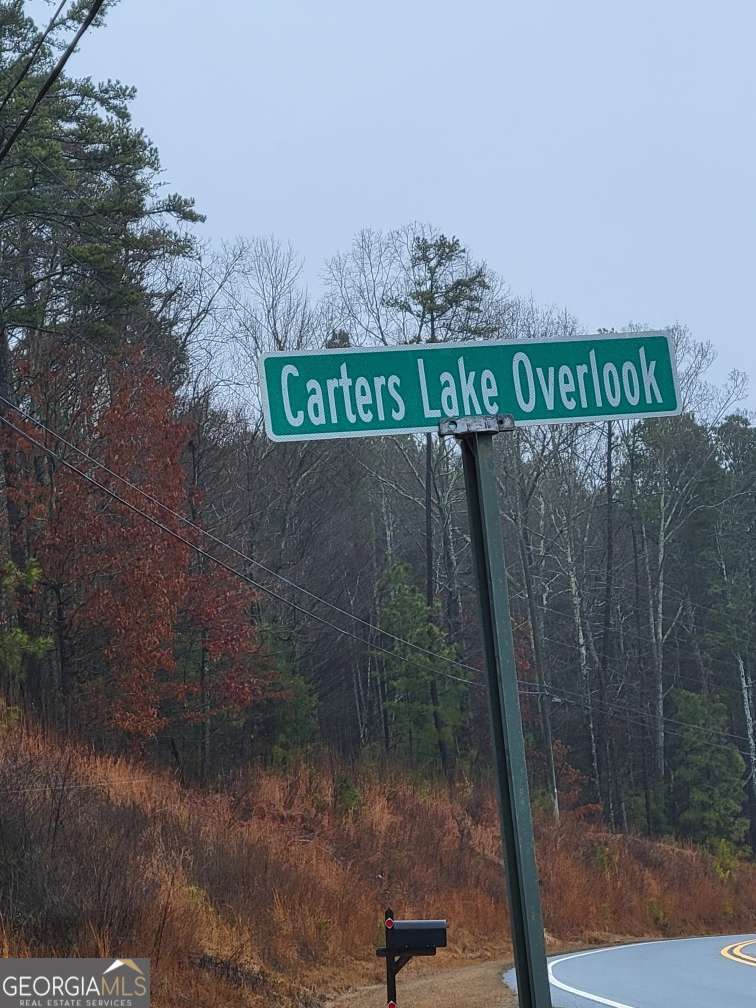 0 Carters Lake Overlook Ellijay GA 30540