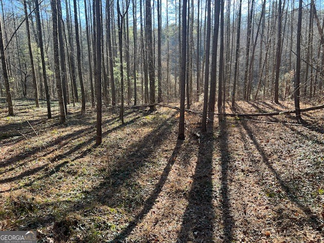 01 Old Miller Rock Ellijay GA 30540