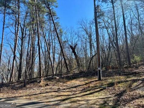 125 Gum Wood Court Waleska GA 30183