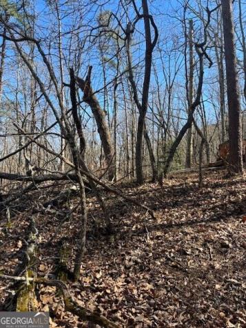 125 Gum Wood Court Waleska GA 30183