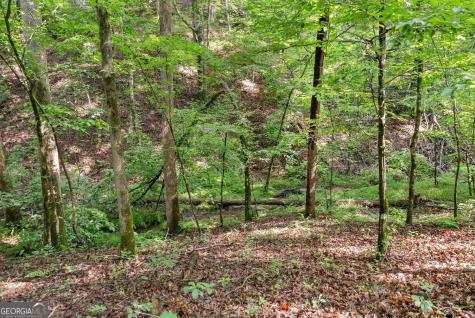 0 Long Branch Road Dahlonega GA 30533