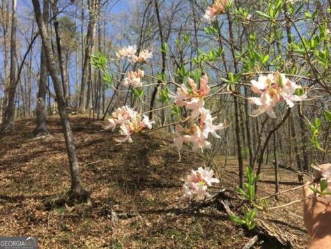 0 Long Branch Road Dahlonega GA 30533