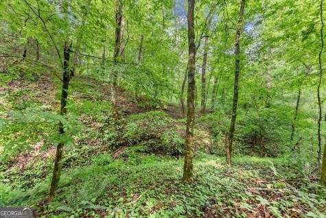 0 Long Branch Road Dahlonega GA 30533