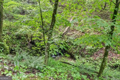 0 Long Branch Road Dahlonega GA 30533