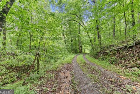 0 Long Branch Road Dahlonega GA 30533