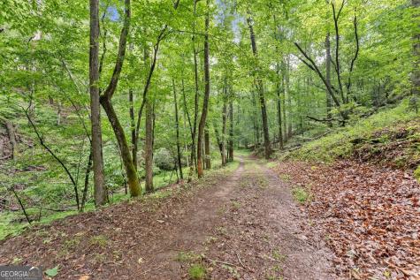 0 Long Branch Road Dahlonega GA 30533