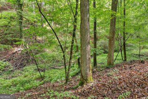 0 Long Branch Road Dahlonega GA 30533
