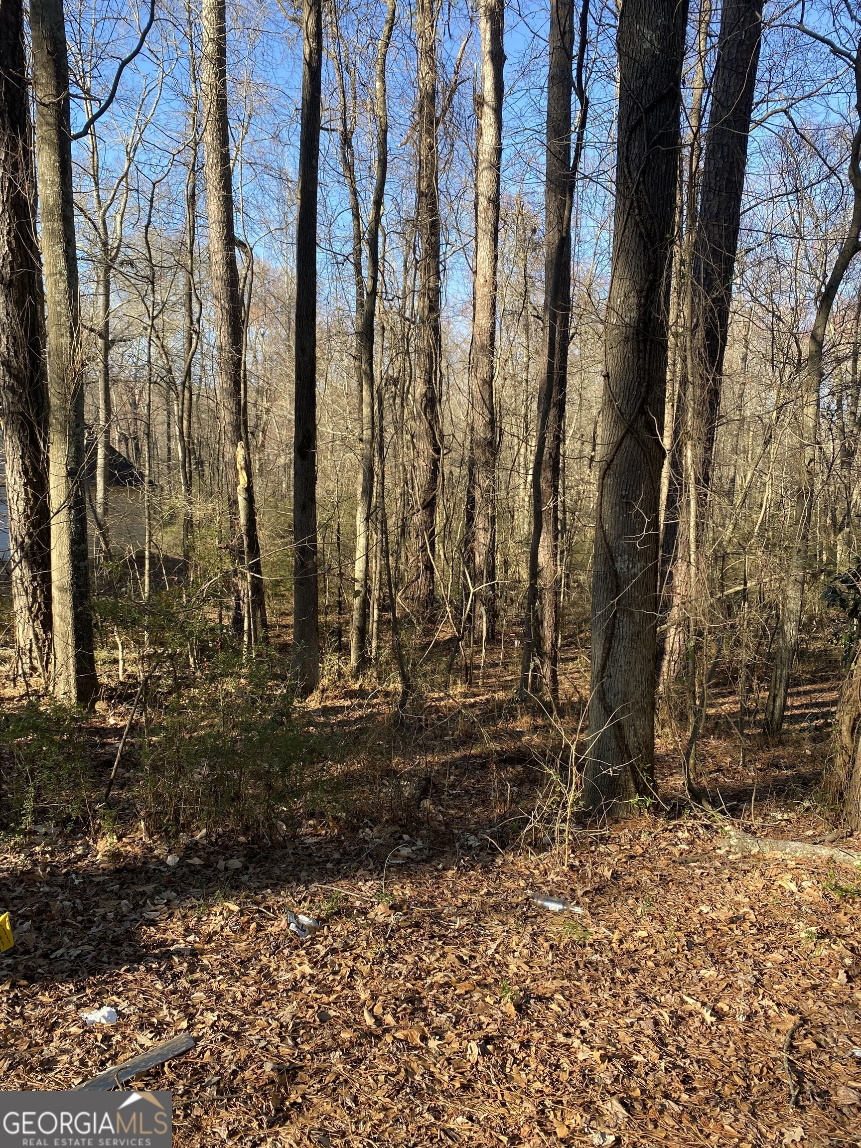 0 Valley Drive Stockbridge GA 30281
