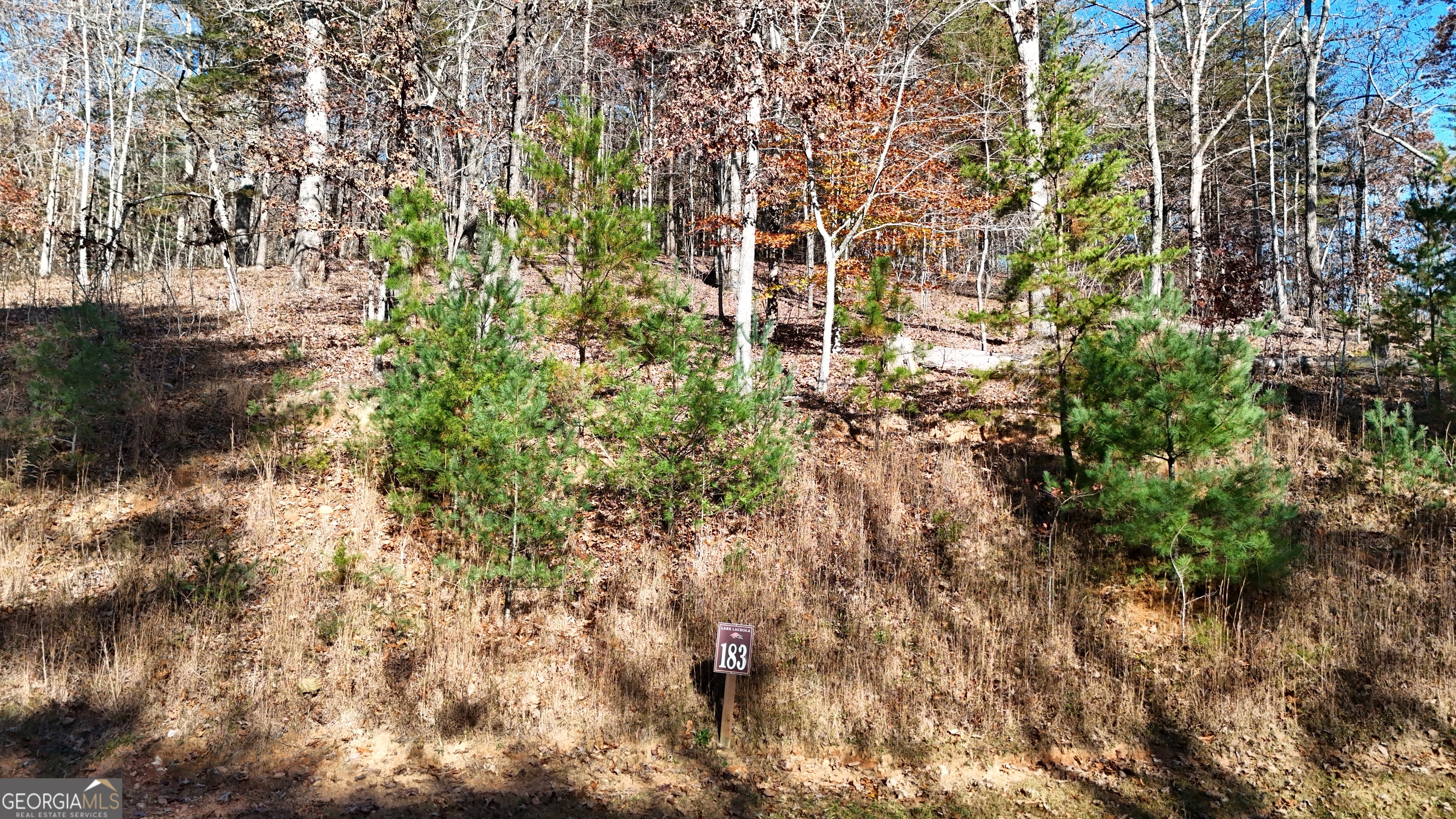Lot 183 Northshore Drive Cleveland GA 30528