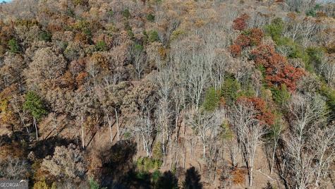 Lot 183 Northshore Drive Cleveland GA 30528
