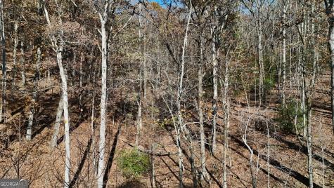 Lot 183 Northshore Drive Cleveland GA 30528