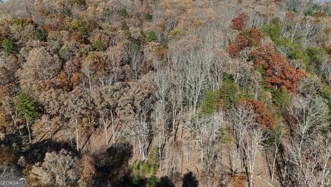 Lot 183 Northshore Drive Cleveland GA 30528