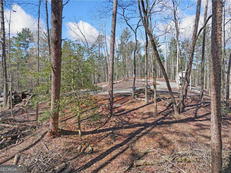 0 Riverlodge Drive Ellijay GA 30540