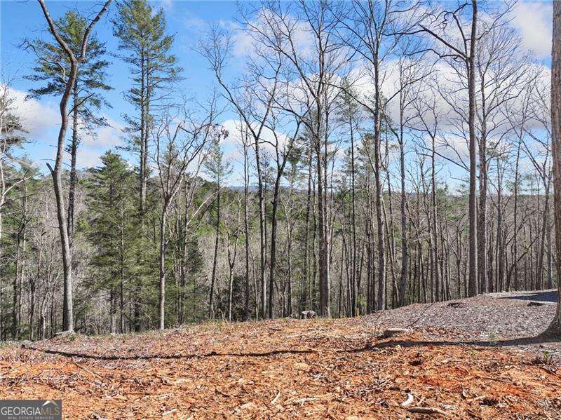 0 Riverlodge Drive Ellijay GA 30540