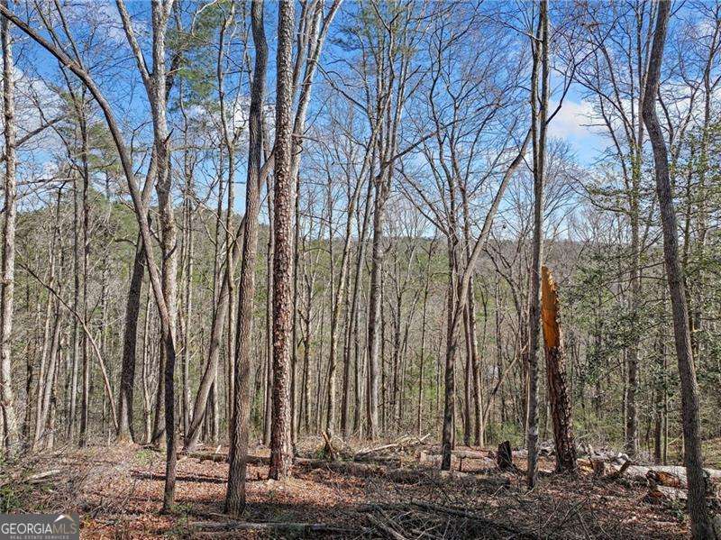 0 Riverlodge Drive Ellijay GA 30540