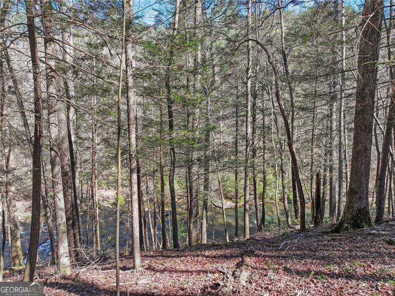 0 Riverlodge Drive Ellijay GA 30540