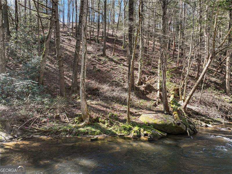 0 Riverlodge Drive Ellijay GA 30540
