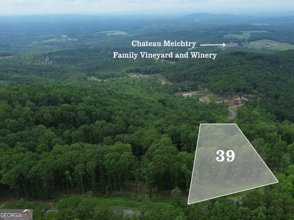 39 High Summit Drive Talking Rock GA 30175