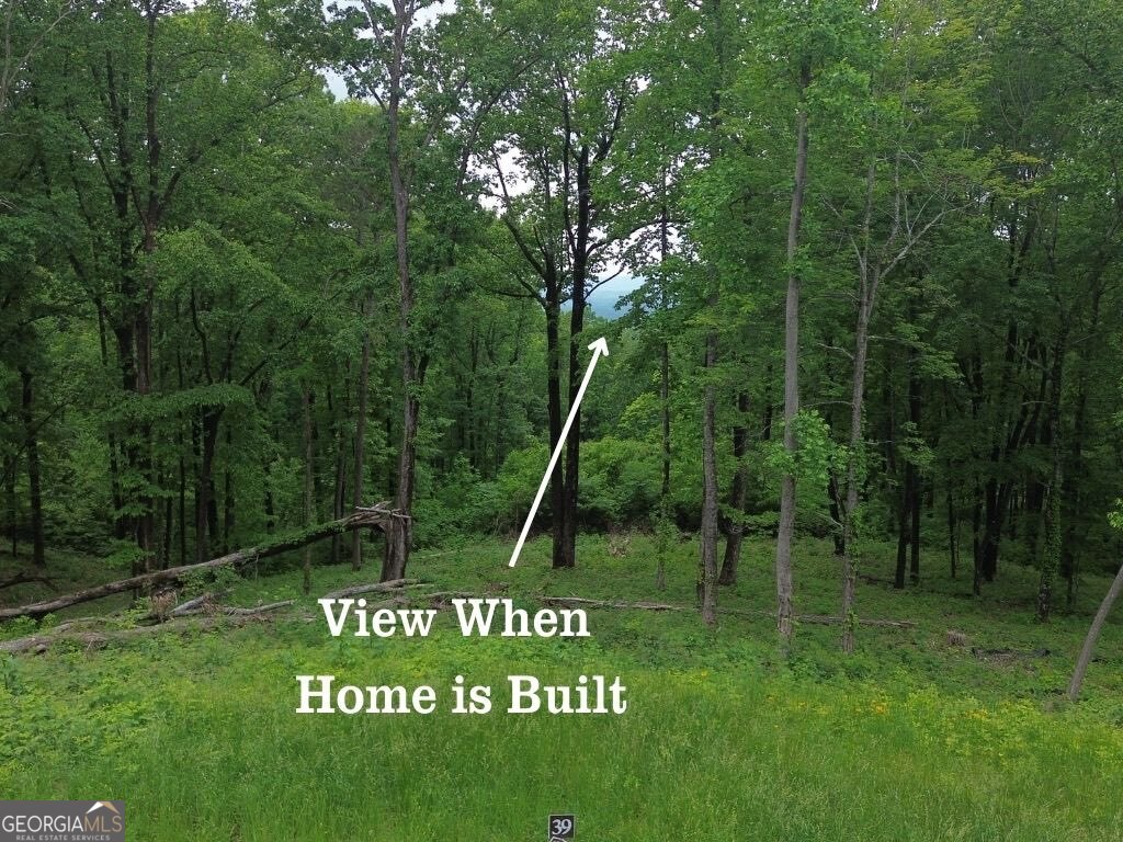 39 High Summit Drive Talking Rock GA 30175