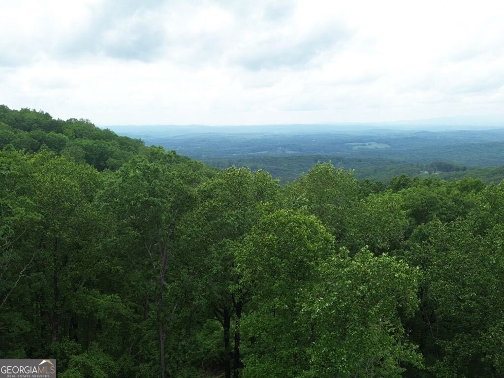 39 High Summit Drive Talking Rock GA 30175