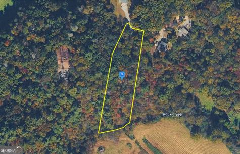 285 Cherry Log Trail Cherry Log GA 30522