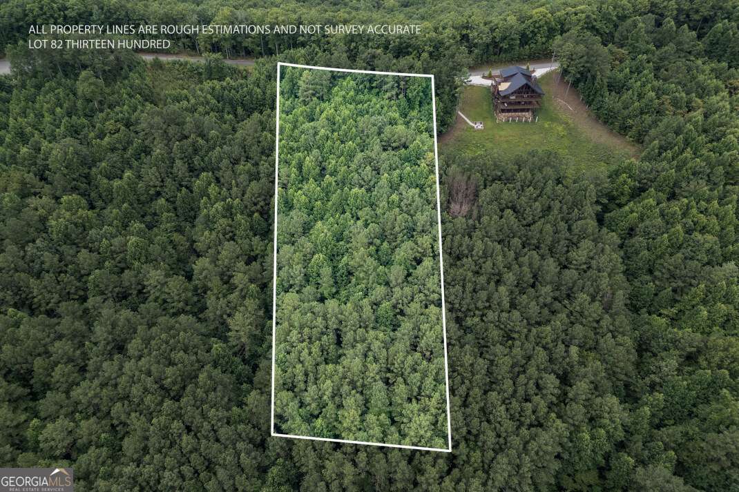 Lot 82 Thirteen Hundred Blairsville GA 30512