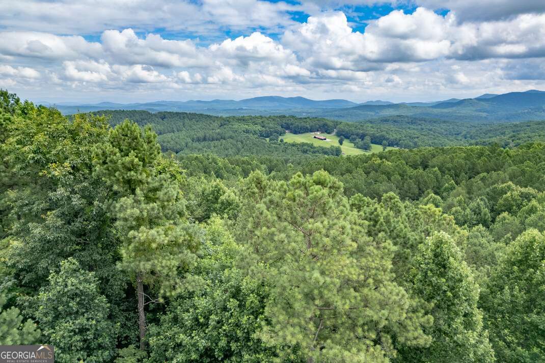 Lot 82 Thirteen Hundred Blairsville GA 30512