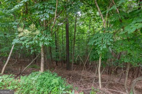 Lot 82 Thirteen Hundred Blairsville GA 30512
