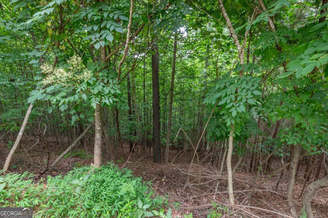 Lot 82 Thirteen Hundred Blairsville GA 30512
