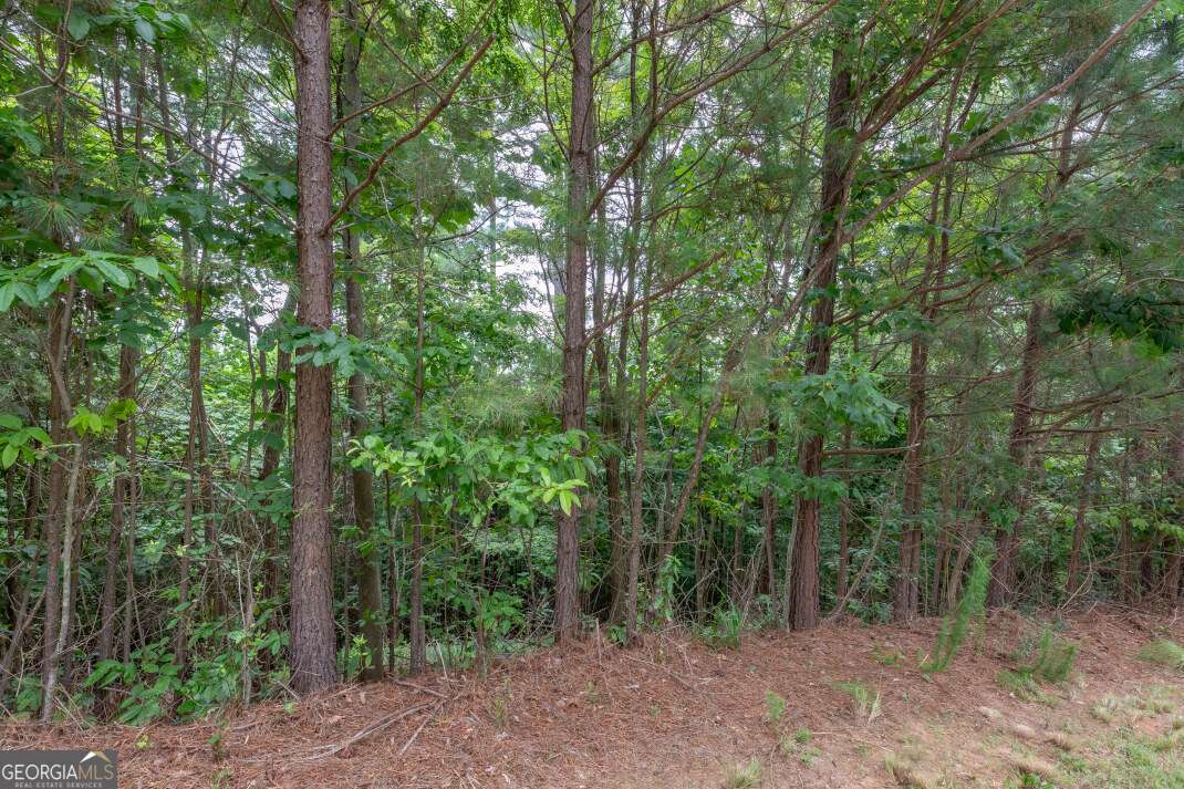 Lot 82 Thirteen Hundred Blairsville GA 30512