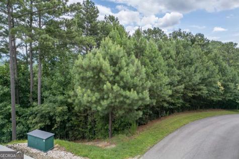 Lot 82 Thirteen Hundred Blairsville GA 30512
