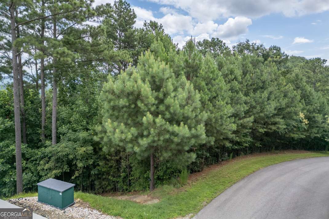 Lot 82 Thirteen Hundred Blairsville GA 30512