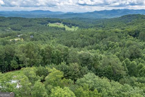 Lot 82 Thirteen Hundred Blairsville GA 30512
