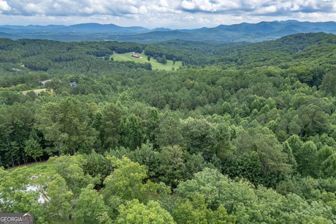 Lot 82 Thirteen Hundred Blairsville GA 30512