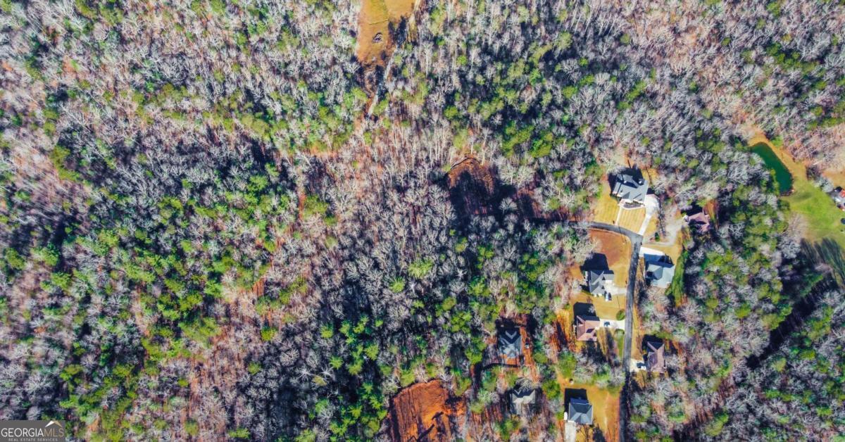 6.44 Whispering Oaks Drive Ellijay GA 30540