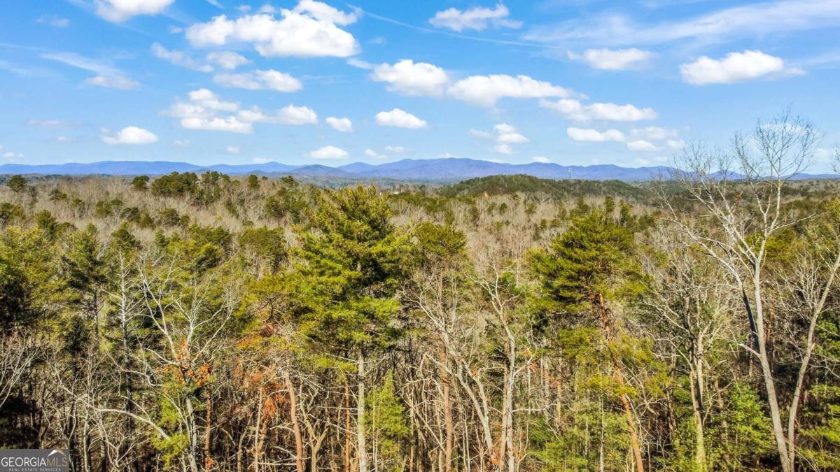 6.44 Whispering Oaks Drive Ellijay GA 30540
