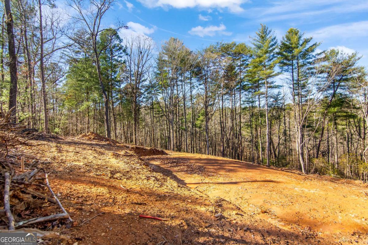 6.44 Whispering Oaks Drive Ellijay GA 30540